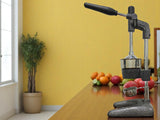 Heavy-Duty Manual Citrus & Pomegranate Juicer – Commercial Grade Fruit Press