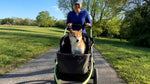 Ibiyaya® -Pet Stroller 3-Wheel All-Terrain W/ Double Breaks for Running & Hiking