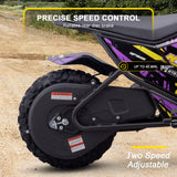MotoTec® - 24v 250w (HP120E) Electric Powered Mini Bike
