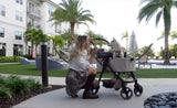 Ibiyaya® - Retro Luxe 4-Wheel Foldable Pet Pram Stroller with Two Openings