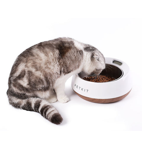 Instachew® - Pet Kit Fresh Metal Bowl