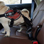 Instachew® - Pet Kit Safety Belt For Dogs