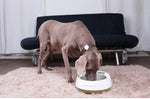 Instachew® - Pet Kit Fresh Metal Bowl