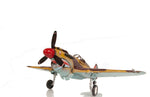 Old Modern Handicrafts® - 1941 Curtiss Hawk 81A Metal Handmade Scaled Model