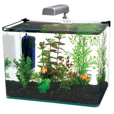 Essential Pet® - Radius 5 Gallon Glass Aquarium Kit