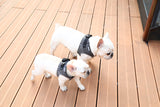 Instachew® - Pet kit Air Fly Harness