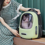 Instachew® Petkit Breezy Cat Carrier (Built-in fan and light)