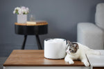 Instachew® - Pet Kit Eversweet Smart Water Fountain Gen 3.0