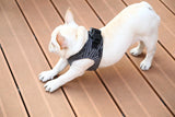 Instachew® - Pet kit Air Fly Harness