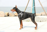 Instachew® - Pet kit Air Fly Harness