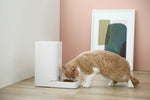 Instachew® - Pet Kit Fresh Element Mini Smart Pet Feeder