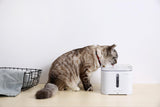 Instachew® - Pet Kit Eversweet Smart Water Fountain 2.0