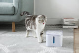 Instachew® - Pet Kit Eversweet Smart Water Fountain 2.0