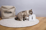 Instachew® - Pet Kit Eversweet Smart Water Fountain 2.0