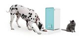 Instachew® - Pet Kit Fresh Element Smart Pet Feeder